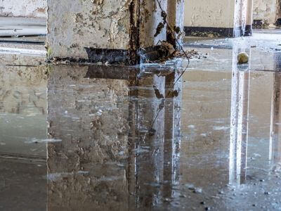About Davis Mold Specialist - mold removal experts in Davis, CA